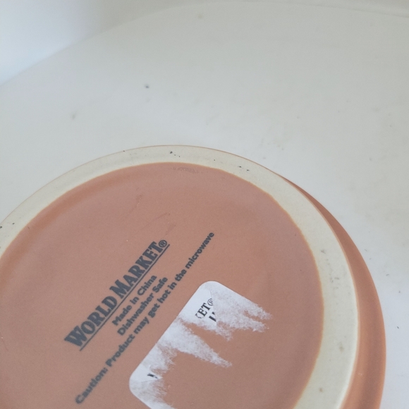 World Market Whimsical Terracotta Pot Succulent Mug or Planter with drip plate. - Picture 4 of 5